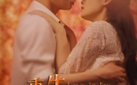 《重生逆袭之路（67集）》高能短剧在线流畅观看