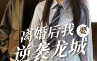 《离婚后我要逆袭龙城（90集）》逆袭之路短剧连载