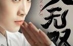 《功夫无双（65集）》传奇短剧全集回放