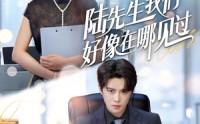 《陆先生我们好像在哪见过（70集）》免费短剧全集轻松追