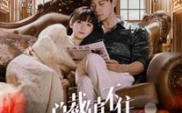《总裁镇不住少奶奶（101集）》高清短剧在线连看