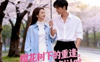 《樱花树下的重逢，是我生命的倒计时（46集）》精彩短剧全集在线赏