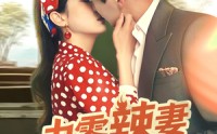 《九零辣妻很旺夫（70集）》最新短剧每日更新