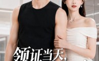 《领证当天，我嫁给了前男友（44集）》热门短剧免费畅享全集