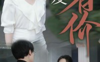 《恩爱有价（31集）》短剧全集高速缓冲