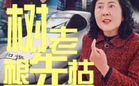 《树老根先枯（33集）》短剧无广告观看体验