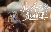 《病娇王爷彪悍妻（100集）》热血短剧完整呈现