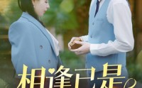 《相逢已是上上签（30集）》短剧高清资源一次看个够