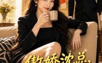 《傲娇沈总，现在轮到你追妻了（175集）》精彩短剧免费在线追全集