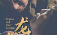 《龙虎兄弟（80集）》经典短剧全集在线回味