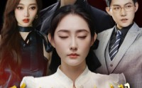 《隐秘的荣耀（35集）》优质短剧资源任你挑