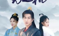 《满城尽带无人机（61集）》短剧盛宴全集在线追