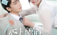 《爱上霸道女总裁（73集）》独家短剧全集在线欣赏