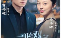 《一胎双宝，抢个总裁当爹地（100集）》完整短剧流畅播放