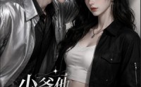 《少爷他老是犯｜jian，夫人她专治不fu（109集）》高分短剧免费在线观赏