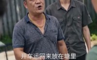《邻居截水搞垂钓，我养三千大鹅陪他玩（52集）》爆火短剧在线免费看