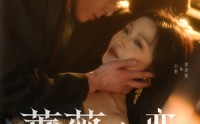 《蔷薇之恋（82集）》短剧全集高清免费看