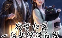 《宿雪归离：一纸契缘缚白发（88集）》短剧完整版免费看