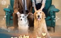 《宠物情人》（42集）浪漫短剧随心观看