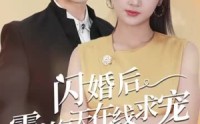 《痴傻老公是霸总（63集）》独家短剧全集放送