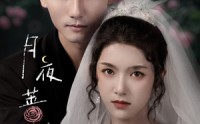 《月夜蔷薇（72集）》全网独播短剧免费看