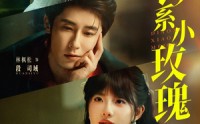 《钓系小玫瑰（82集）》超火短剧无删减版观看