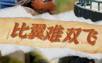 《比翼难双飞（30集）》短剧全集免费流畅播放