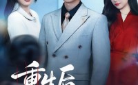 《重生后我走上人生巅峰（80集）》短剧全集免费畅享