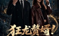 《狂龙赘婿！揽冷妻夜巡（80集）》超火短剧全集免费看