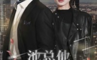 《池总他不按套路出牌（100集）》精彩短剧在线连看