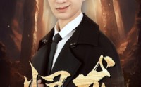 《归龙（39集）》短剧全集高清流畅播放