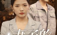 《妻子的伪装（30集）》流畅短剧全集欣赏