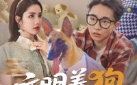 《文明养狗人人有责（44集）》热门短剧完整版免费赏
