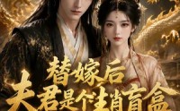 《替嫁后夫君是个生肖盲盒（63集）》热门短剧免费追全集
