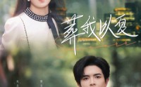 《葬我以夏（73集）》精彩短剧免费在线点播