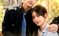 《农村小萌妻嫁到（113集）》高分短剧全集在线追剧