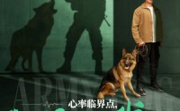 《心率临界点谁都别惹我（96集）》热门短剧全集免费欣赏