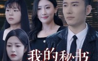 《我的秘书为什么这样（94集）》热门短剧全集免费欣赏