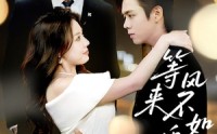 《等风来不如追风去（72集）》经典短剧全集在线畅看