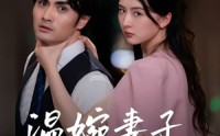 《温婉妻子的反击（43集）》短剧全集高清在线品鉴