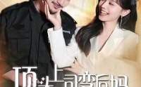 《顶头上司变后妈儿子你别懵（72集）》热门短剧全集追不停