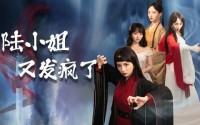 《陆小姐又发疯了（28集）》精彩短剧在线观看