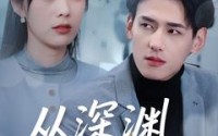 《从深渊到云端（100集）》热门短剧全集呈现