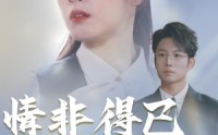 《情非得已（30集）》高清短剧全集在线欣赏