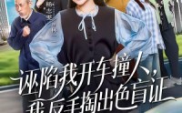 《诬陷我开车撞人，我反手掏出色盲证（70集）》高分短剧全集在线赏