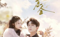 《情投意合（60集）》精彩短剧全集免费在线享