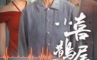 《小喜鹊尾巴长（53集）》高清短剧全集在线畅享