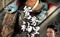 《鸳鸯袖里握兵符（88集）》热门短剧一网打尽