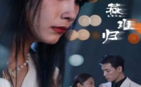 《燕南飞，燕难归（31集）》精彩绝伦短剧在线观