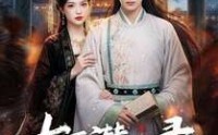 《大夏潜龙录（82集）》超燃短剧免费全集畅享